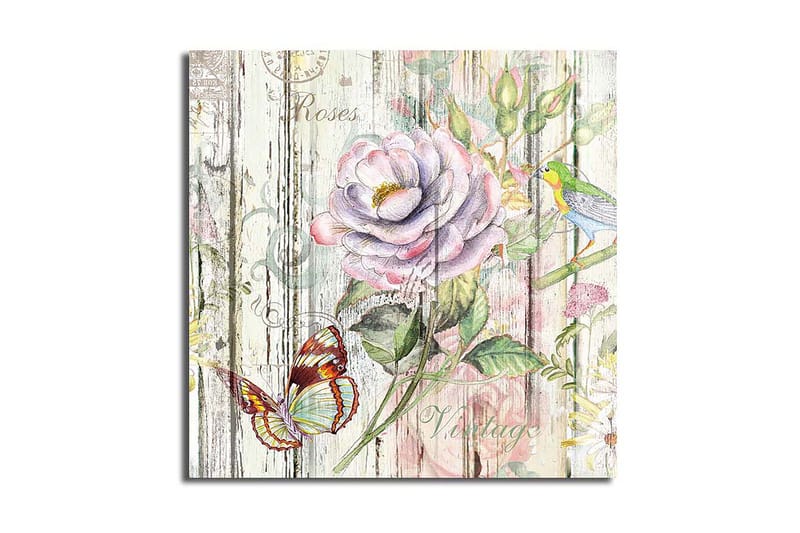 Canvasbilde Animal Flerfarget - 44x54 cm - Interiør - Maleri & posters - Lerretsbilder