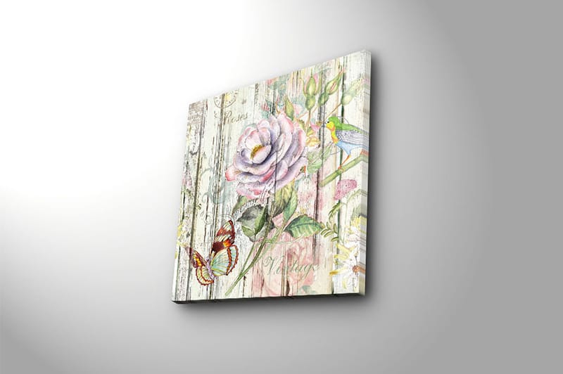 Canvasbilde Animal Flerfarget - 44x54 cm - Interiør - Maleri & posters - Lerretsbilder