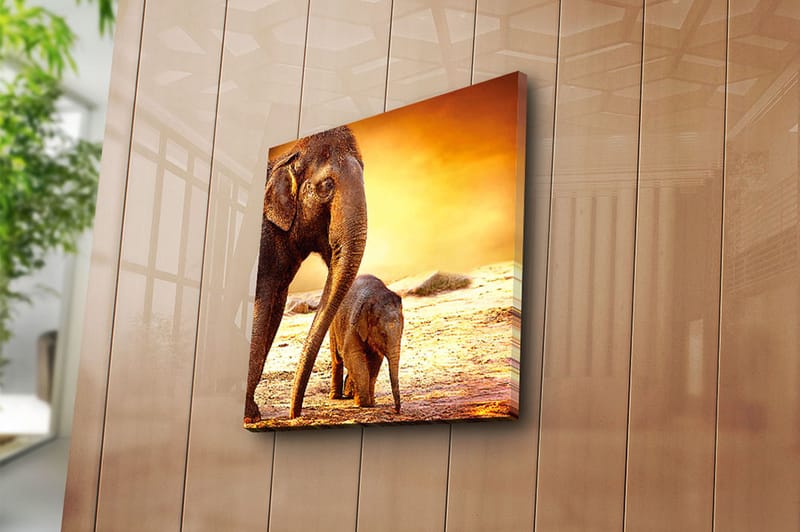 Canvasbilde Animal Flerfarget - 44x54 cm - Interiør - Maleri & posters - Lerretsbilder