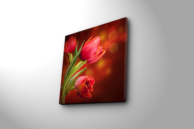 Canvasbilde Animal Flerfarget - 44x54 cm - Interiør - Maleri & posters - Lerretsbilder