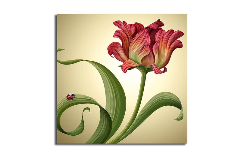 Canvasbilde Animal Flerfarget - 44x54 cm - Interiør - Maleri & posters - Lerretsbilder