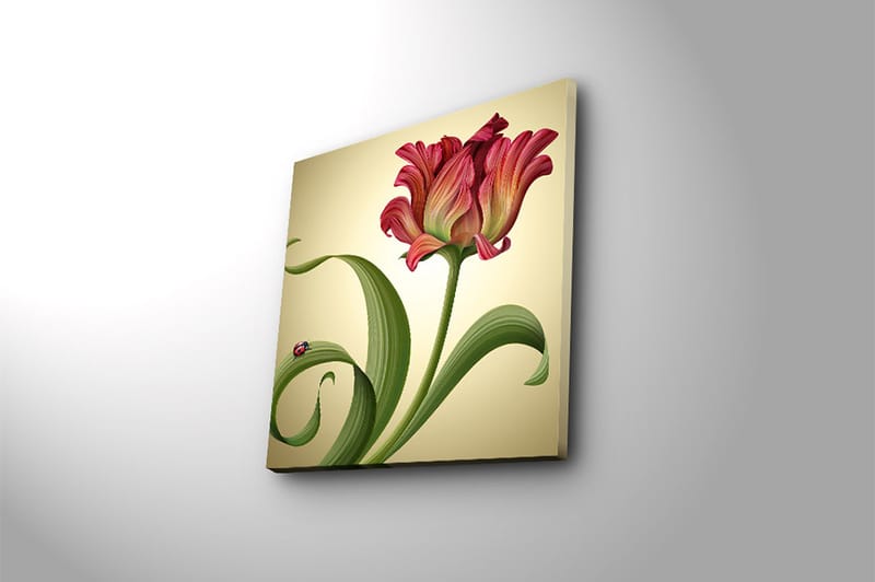 Canvasbilde Animal Flerfarget - 44x54 cm - Interiør - Maleri & posters - Lerretsbilder