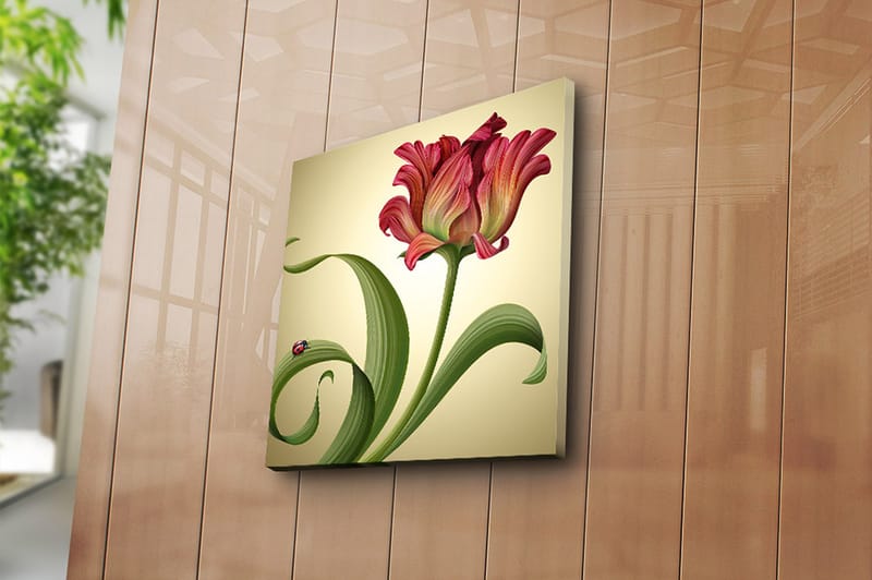 Canvasbilde Animal Flerfarget - 44x54 cm - Interiør - Maleri & posters - Lerretsbilder