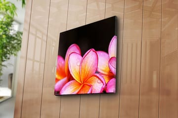 Canvasbilde Animal Flerfarget - 44x54 cm - Interiør - Maleri & posters - Lerretsbilder