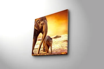 Canvasbilde Animal Flerfarget - 44x54 cm - Interiør - Maleri & posters - Lerretsbilder
