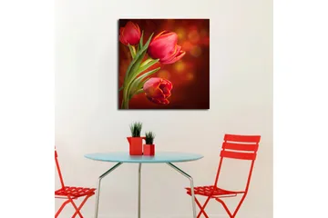 Canvasbilde Animal Flerfarget - 44x54 cm - Interiør - Maleri & posters - Lerretsbilder