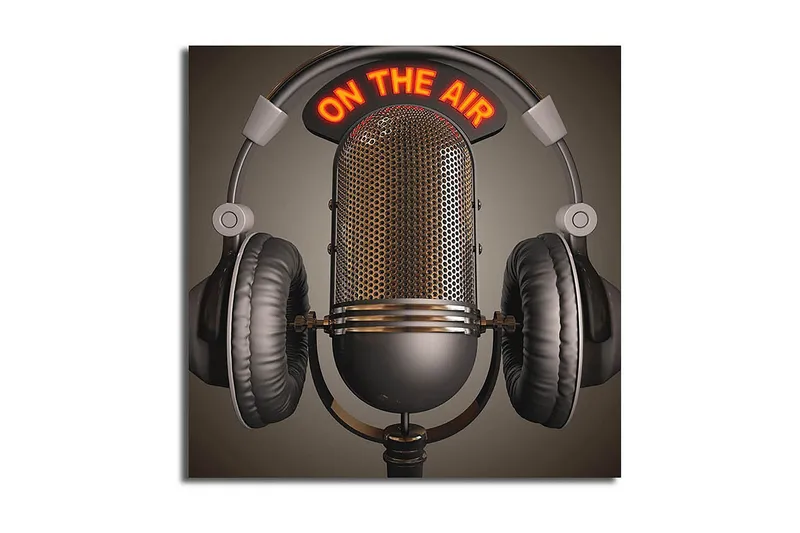 Canvasbilde Animal Flerfarget, 44x54 cm