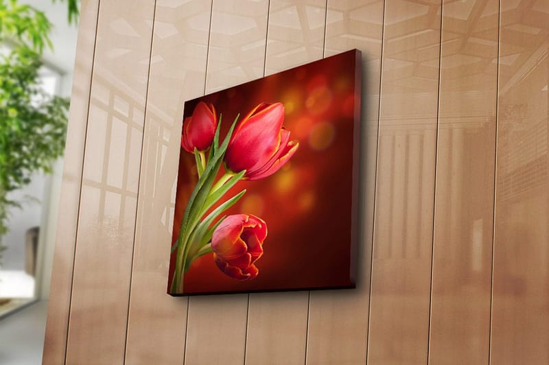 Canvasbilde Animal Flerfarget - 44x54 cm - Interiør - Maleri & posters - Lerretsbilder