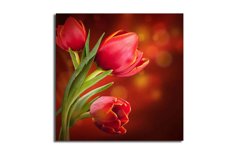 Canvasbilde Animal Flerfarget - 44x54 cm - Interiør - Maleri & posters - Lerretsbilder