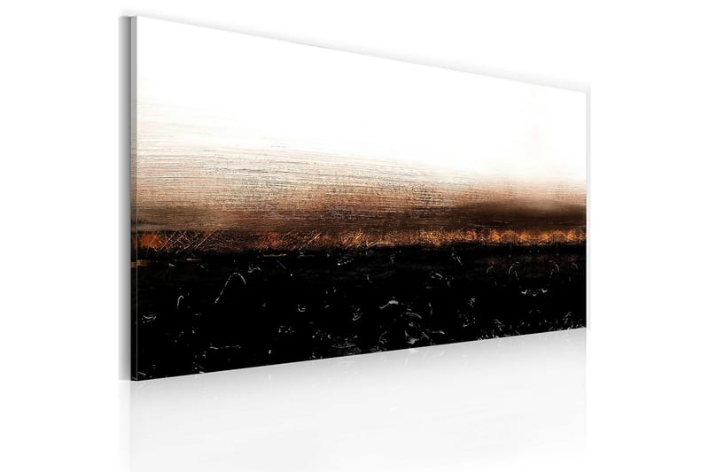 Canvasbilde Black soil 120x60 cm - Artgeist sp. z o. o. - Lerretsbilder