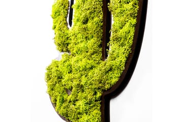Canvasbilde Cactus - Grønn/Hvit - Interiør - Maleri & posters - Lerretsbilder