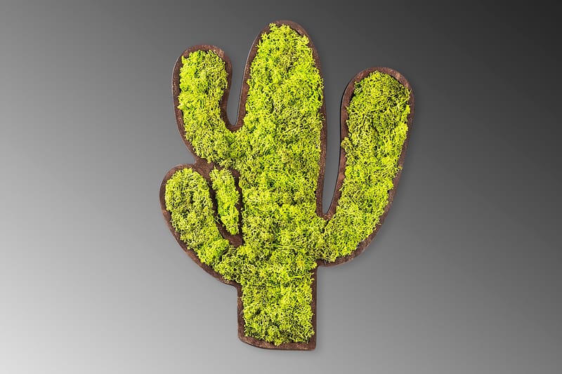 Canvasbilde Cactus - Grønn/Hvit - Interiør - Maleri & posters - Lerretsbilder