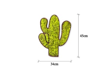 Canvasbilde Cactus - Grønn/Hvit - Interiør - Maleri & posters - Lerretsbilder
