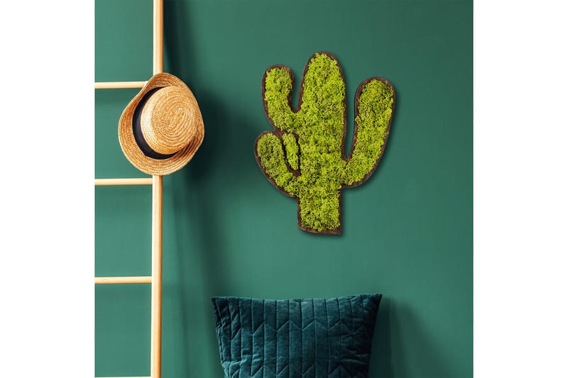Canvasbilde Cactus - Grønn/Hvit - Interiør - Maleri & posters - Lerretsbilder