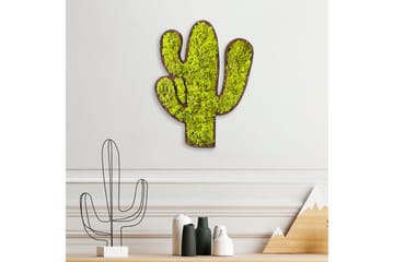 Canvasbilde Cactus - Grønn/Hvit - Interiør - Maleri & posters - Lerretsbilder