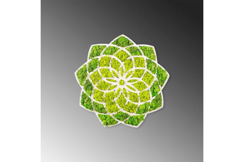 Canvasbilde Daisy - 44x44 cm - Interiør - Maleri & posters - Lerretsbilder