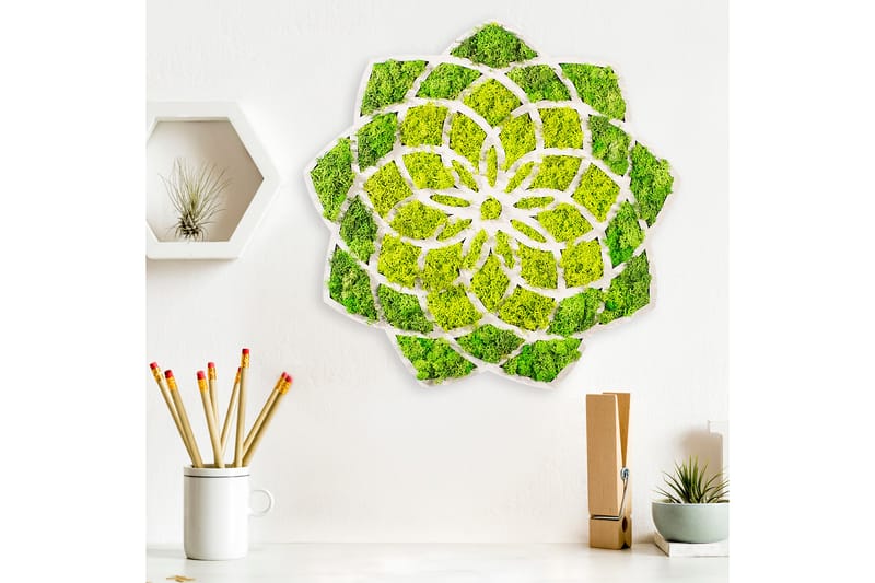 Canvasbilde Daisy - 44x44 cm - Interiør - Maleri & posters - Lerretsbilder
