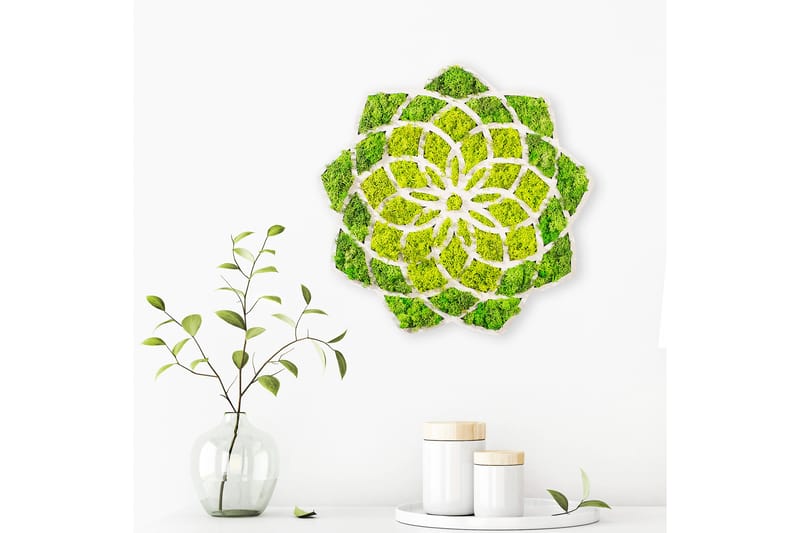 Canvasbilde Daisy - 44x44 cm - Interiør - Maleri & posters - Lerretsbilder