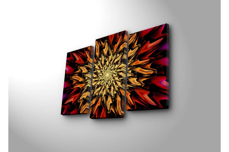 Canvasbilde Dekorativ 3 Deler - Flerfarget - Interiør - Maleri & posters - Lerretsbilder