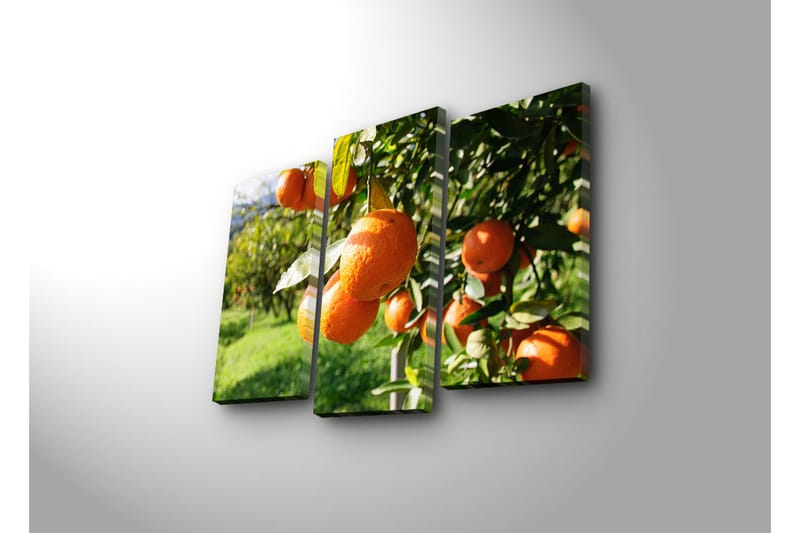 Canvasbilde Dekorativ 3 Deler - Flerfarget - Interiør - Maleri & posters - Lerretsbilder