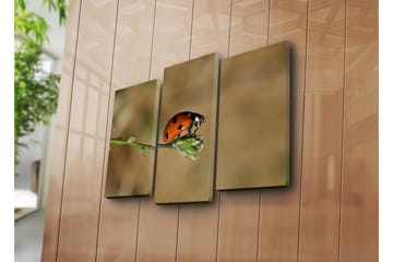 Canvasbilde Dekorativ 3 Deler - Flerfarget - Interiør - Maleri & posters - Lerretsbilder
