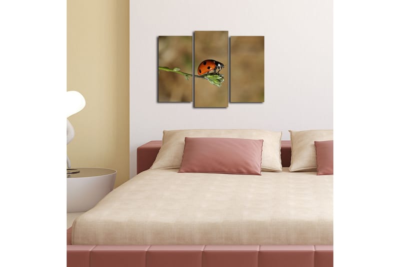 Canvasbilde Dekorativ 3 Deler - Flerfarget - Interiør - Maleri & posters - Lerretsbilder