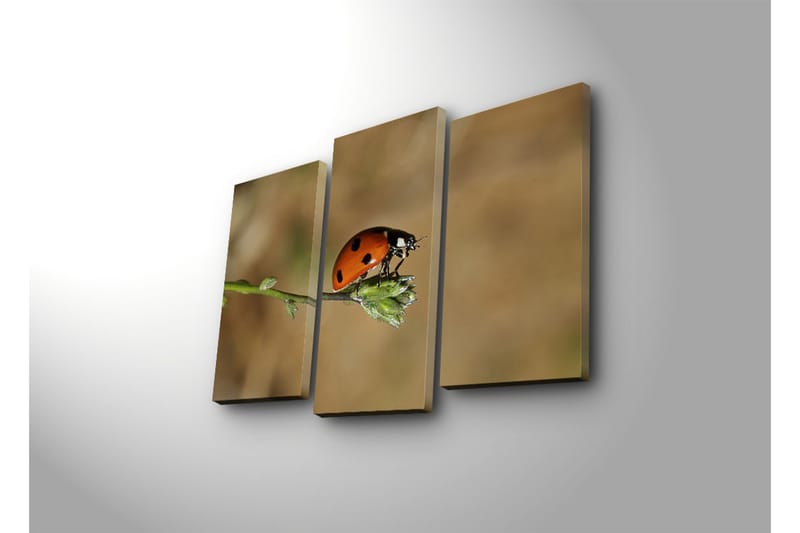 Canvasbilde Dekorativ 3 Deler - Flerfarget - Interiør - Maleri & posters - Lerretsbilder