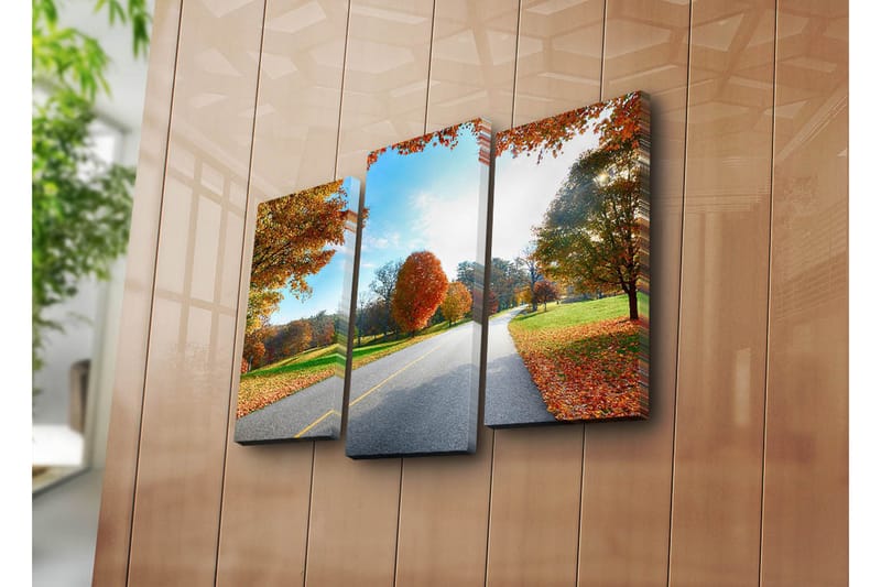 Canvasbilde Dekorativ 3 Deler - Flerfarget - Interiør - Maleri & posters - Lerretsbilder