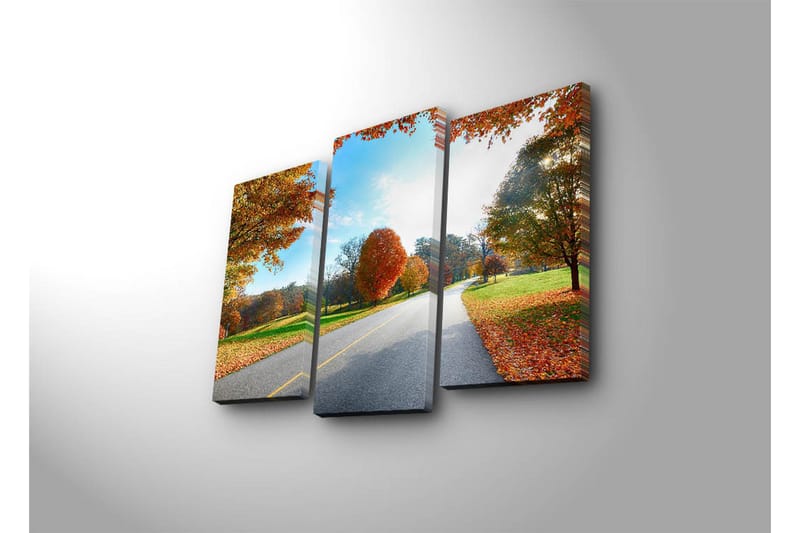 Canvasbilde Dekorativ 3 Deler - Flerfarget - Interiør - Maleri & posters - Lerretsbilder