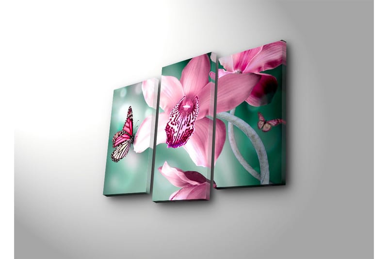 Canvasbilde Dekorativ 3 Deler - Flerfarget - Interiør - Maleri & posters - Lerretsbilder