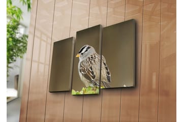 Canvasbilde Dekorativ 3 Deler - Flerfarget - Interiør - Maleri & posters - Lerretsbilder
