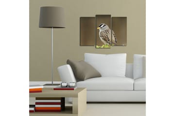 Canvasbilde Dekorativ 3 Deler - Flerfarget - Interiør - Maleri & posters - Lerretsbilder