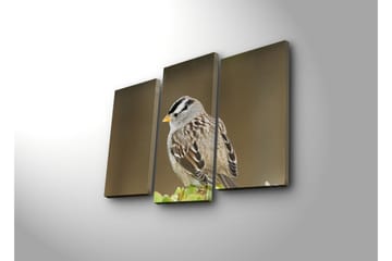 Canvasbilde Dekorativ 3 Deler - Flerfarget - Interiør - Maleri & posters - Lerretsbilder