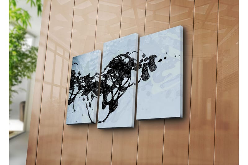 Canvasbilde Dekorativ 3 Deler - Flerfarget - Interiør - Maleri & posters - Lerretsbilder