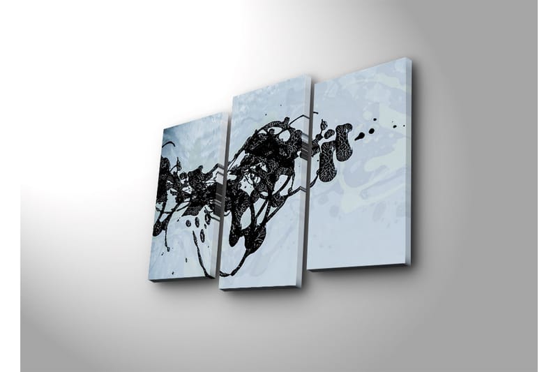 Canvasbilde Dekorativ 3 Deler - Flerfarget - Interiør - Maleri & posters - Lerretsbilder