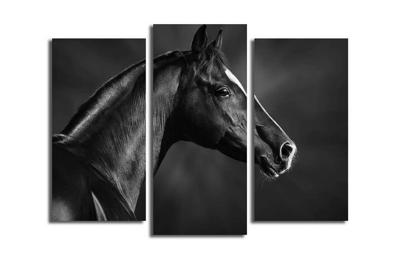 Canvasbilde Dekorativ 3 Deler - Flerfarget - Interiør - Maleri & posters - Lerretsbilder