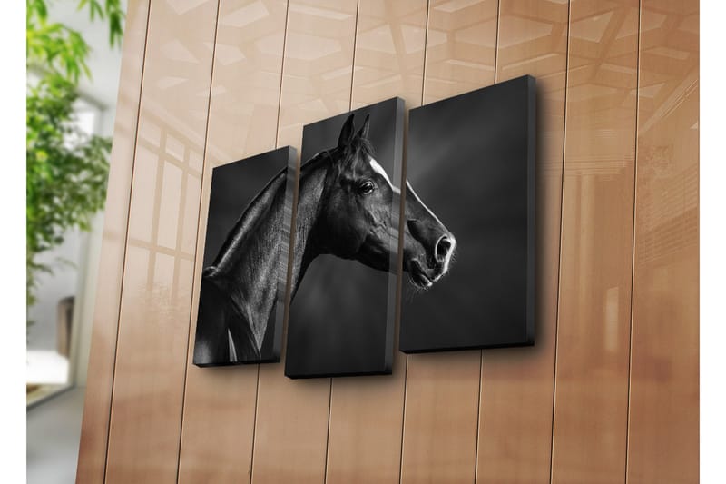 Canvasbilde Dekorativ 3 Deler - Flerfarget - Interiør - Maleri & posters - Lerretsbilder