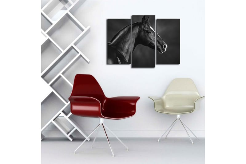 Canvasbilde Dekorativ 3 Deler - Flerfarget - Interiør - Maleri & posters - Lerretsbilder
