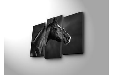 Canvasbilde Dekorativ 3 Deler - Flerfarget - Interiør - Maleri & posters - Lerretsbilder