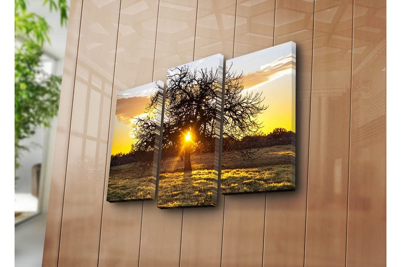 Canvasbilde Dekorativ 3 Deler - Flerfarget - Interiør - Maleri & posters - Lerretsbilder