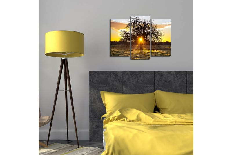 Canvasbilde Dekorativ 3 Deler - Flerfarget - Interiør - Maleri & posters - Lerretsbilder