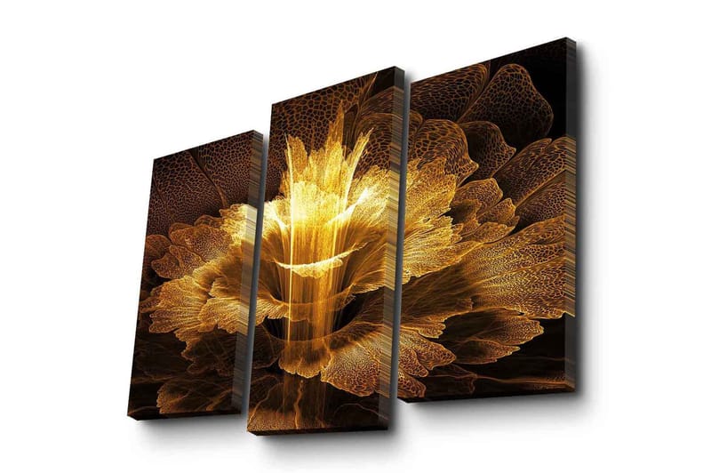 Canvasbilde Dekorativ 3 Deler - Flerfarget - Interiør - Maleri & posters - Lerretsbilder