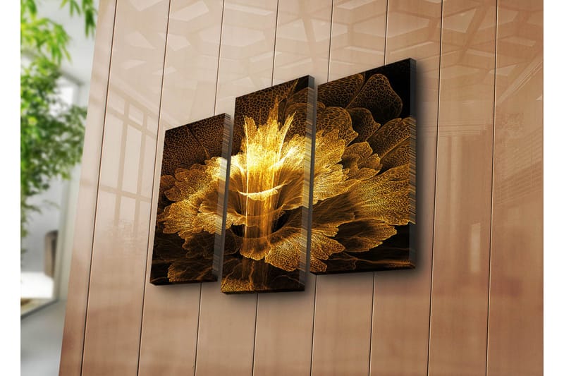 Canvasbilde Dekorativ 3 Deler - Flerfarget - Interiør - Maleri & posters - Lerretsbilder