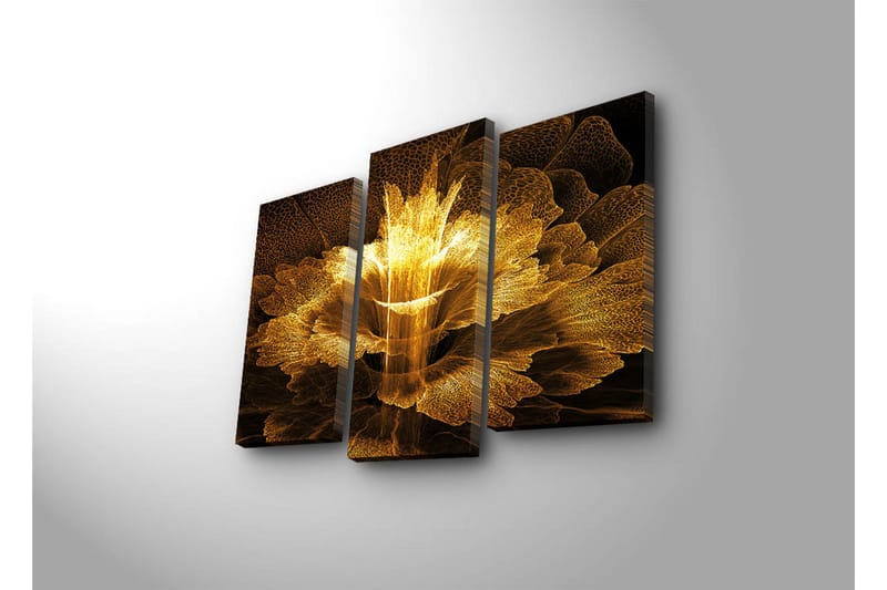 Canvasbilde Dekorativ 3 Deler - Flerfarget - Interiør - Maleri & posters - Lerretsbilder