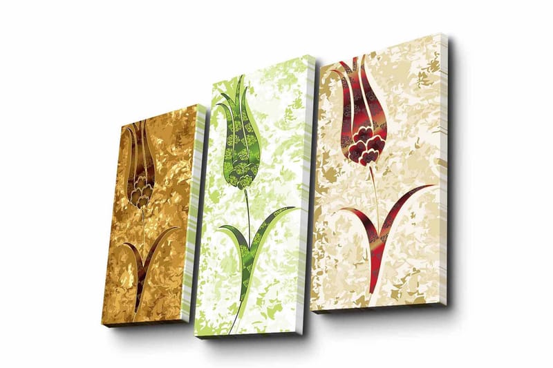 Canvasbilde Dekorativ 3 Deler - Flerfarget - Interiør - Maleri & posters - Lerretsbilder