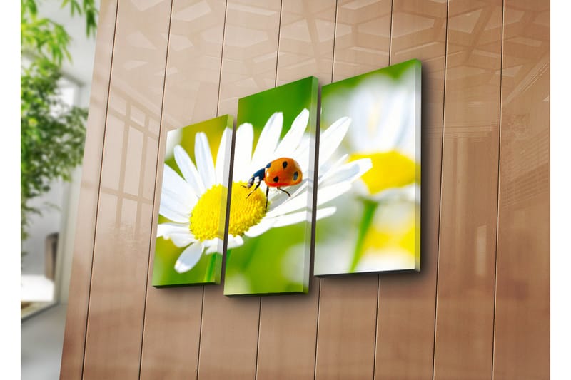 Canvasbilde Dekorativ 3 Deler - Flerfarget - Interiør - Maleri & posters - Lerretsbilder