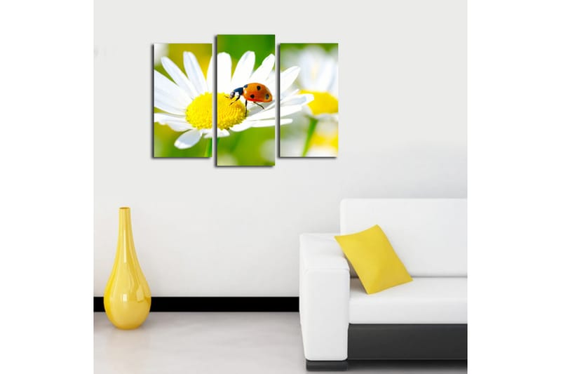 Canvasbilde Dekorativ 3 Deler - Flerfarget - Interiør - Maleri & posters - Lerretsbilder