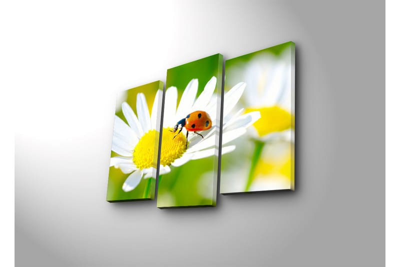 Canvasbilde Dekorativ 3 Deler - Flerfarget - Interiør - Maleri & posters - Lerretsbilder