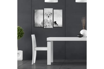Canvasbilde Dekorativ 3 Deler - Flerfarget - Interiør - Maleri & posters - Lerretsbilder