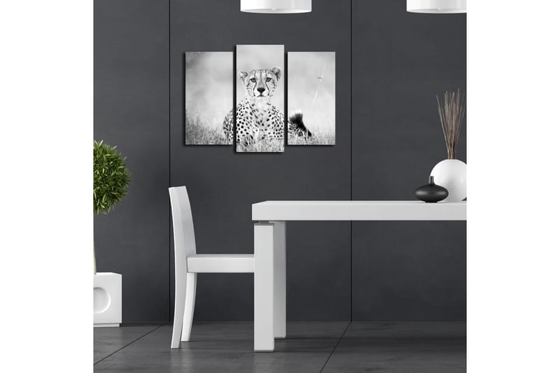 Canvasbilde Dekorativ 3 Deler - Flerfarget - Interiør - Maleri & posters - Lerretsbilder